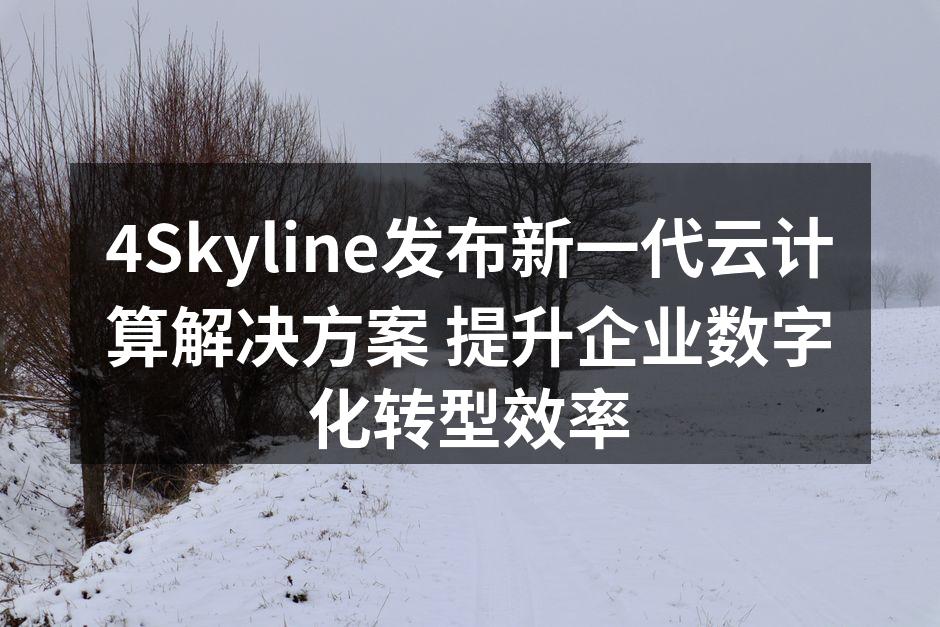 4Skyline云计算解决方案发布会现场