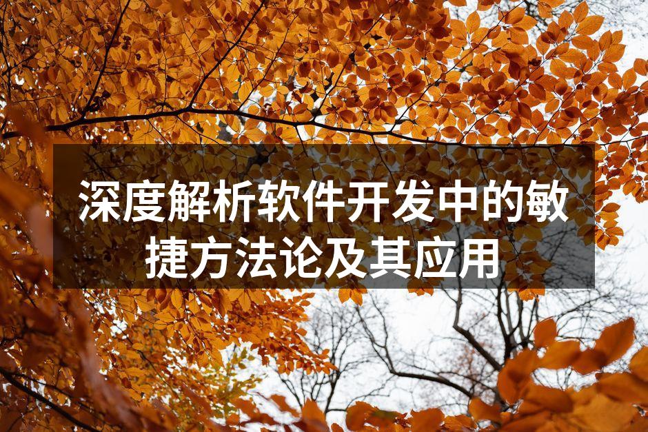 敏捷开发团队协作